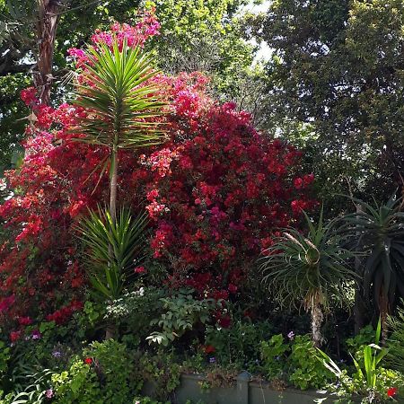 Winterson En Somerkoelte Swellendam Luaran gambar
