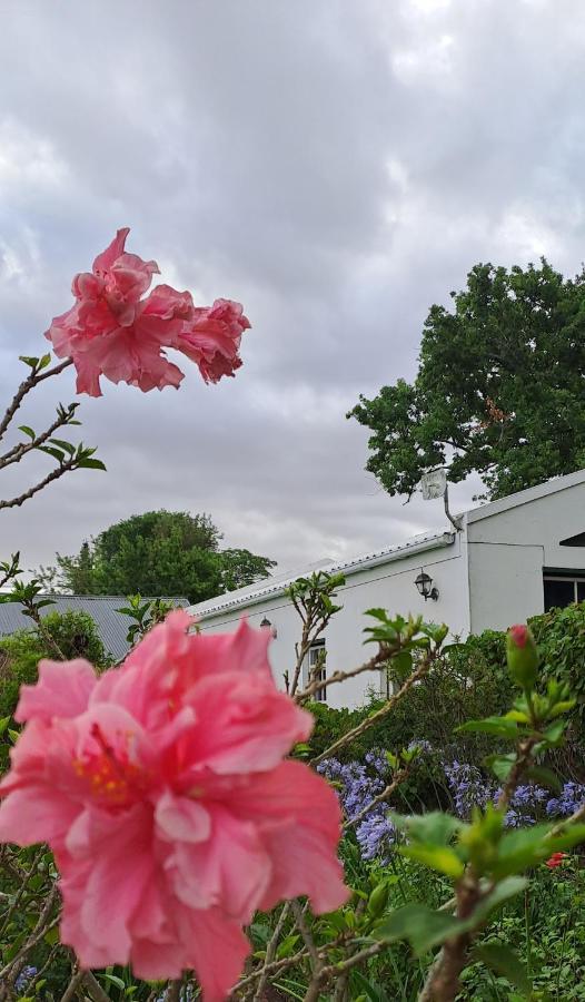 Winterson En Somerkoelte Swellendam Luaran gambar